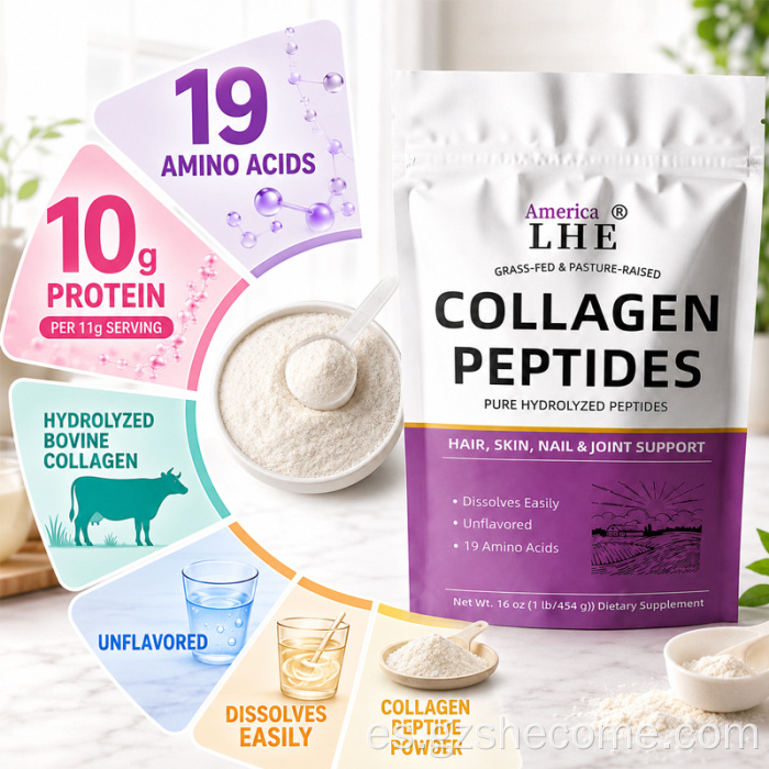 Shecome Péptidos de Colágeno Polvo Piel Cabello Uñas Soporte